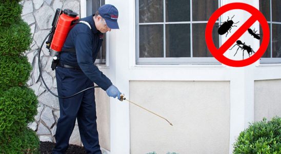 Karakoyunlu Kene İlaçlama böcek ilaçlama ve haşere kontrolü — ilaclama-tr.com